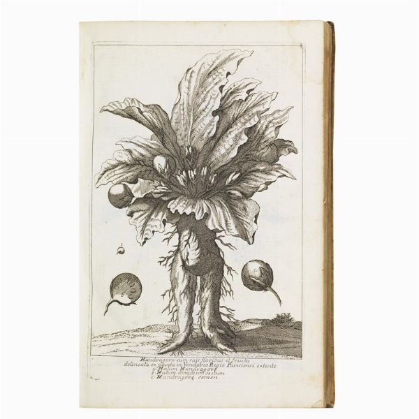 (Ebraica - Illustrati 700)   Calmet, Augustin  . Dictionarium historicum, criticum, chronologicum, geographicum, et literale Sacrae Scripturae, cum figuris Antiquitates Judaicas repraesentantibus. […]. Tomus primus [-secundus].   Venetiis, apud Sebastianum Coleti, 1747  - Asta Libri, manoscritti e autografi - Associazione Nazionale - Case d'Asta italiane