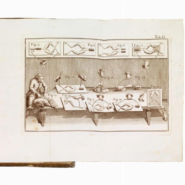 (Elettromagnetismo - Scienza - Illustrati 700)   GALVANI, Luigi.   De viribus electricitatis in motu musculari commentarius cum Joannis Aldini dissertatione et notis.   Mutin&aelig; [i.e. Modena], apud Societatem Typographicam, 1792.  - Asta Libri, manoscritti e autografi - Associazione Nazionale - Case d'Asta italiane