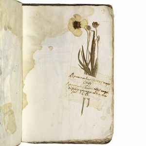 Antico erbario con centinaia di campioni essiccati. Seconda met&agrave; del XVIII secolo.  - Asta Libri, manoscritti e autografi - Associazione Nazionale - Case d'Asta italiane