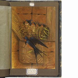 GUINET. E.   Acquarelles d�oiseaux  . 1825.  - Asta Libri, manoscritti e autografi - Associazione Nazionale - Case d'Asta italiane