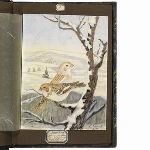 GUINET. E.   Acquarelles d�oiseaux  . 1825.  - Asta Libri, manoscritti e autografi - Associazione Nazionale - Case d'Asta italiane