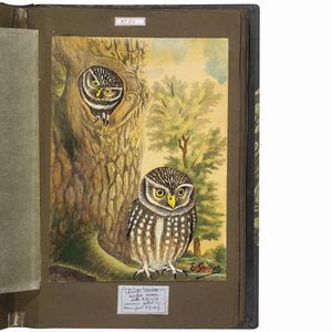 GUINET. E.   Acquarelles d�oiseaux  . 1825.  - Asta Libri, manoscritti e autografi - Associazione Nazionale - Case d'Asta italiane