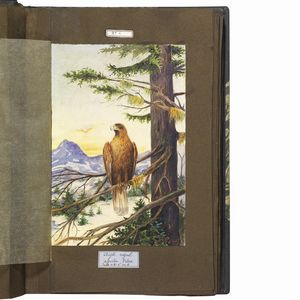 GUINET. E.   Acquarelles doiseaux  . 1825.  - Asta Libri, manoscritti e autografi - Associazione Nazionale - Case d'Asta italiane