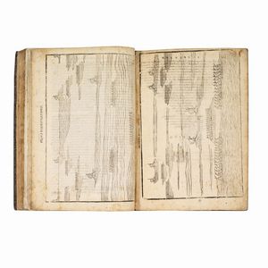 (Fortificazioni - Storia navale - Illustrati 600)   ALTONI, Giovanni.   Il soldato di Giouanni Altoni fiorentino della scienza, et arte della guerra.   In Fiorenza, nella stamperia di Volcmar Timan german, 1604.  - Asta Libri, manoscritti e autografi - Associazione Nazionale - Case d'Asta italiane