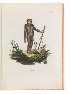 (Storia naturale - Illustrati 700)   Alessandri, Innocente - Scattaglia, Pietro.   Animali quadrupedi dal naturale dissegnati, incisi, e miniati con i lor veri colori da Innocente Alessandri, e Pietro Scattaglia. Parte prima [-quarta].     In Venezia, all&rsquo;insegna della B. Vergine della pace sopra il ponte di Rialto, 1771-1775.  - Asta Libri, manoscritti e autografi - Associazione Nazionale - Case d'Asta italiane