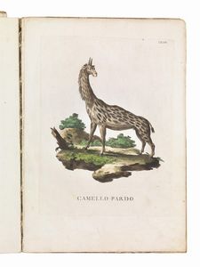 (Storia naturale - Illustrati 700)   Alessandri, Innocente - Scattaglia, Pietro.   Animali quadrupedi dal naturale dissegnati, incisi, e miniati con i lor veri colori da Innocente Alessandri, e Pietro Scattaglia. Parte prima [-quarta].     In Venezia, all&rsquo;insegna della B. Vergine della pace sopra il ponte di Rialto, 1771-1775.  - Asta Libri, manoscritti e autografi - Associazione Nazionale - Case d'Asta italiane