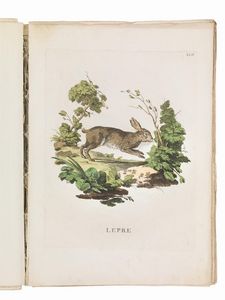 (Storia naturale - Illustrati 700)   Alessandri, Innocente - Scattaglia, Pietro.   Animali quadrupedi dal naturale dissegnati, incisi, e miniati con i lor veri colori da Innocente Alessandri, e Pietro Scattaglia. Parte prima [-quarta].     In Venezia, all&rsquo;insegna della B. Vergine della pace sopra il ponte di Rialto, 1771-1775.  - Asta Libri, manoscritti e autografi - Associazione Nazionale - Case d'Asta italiane