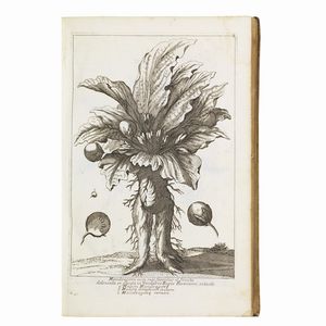 (Ebraica - Illustrati 700)   Calmet, Augustin  . Dictionarium historicum, criticum, chronologicum, geographicum, et literale Sacrae Scripturae, cum figuris Antiquitates Judaicas repraesentantibus. […]. Tomus primus [-secundus].   Venetiis, apud Sebastianum Coleti, 1747  - Asta Libri, manoscritti e autografi - Associazione Nazionale - Case d'Asta italiane