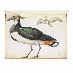 Bottega di Giovanni Mannozzi, noto come Giovanni da San Giovanni, prima met� sec. XVII  - Asta Opere su carta: disegni e stampe dal XVI al XIX secolo  - Associazione Nazionale - Case d'Asta italiane