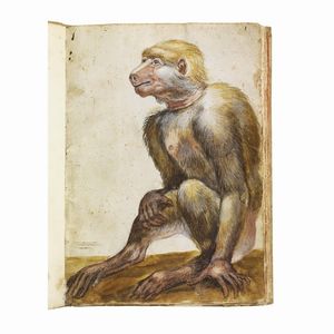 Bottega di Giovanni Mannozzi, noto come Giovanni da San Giovanni, prima met� sec. XVII  - Asta Opere su carta: disegni e stampe dal XVI al XIX secolo  - Associazione Nazionale - Case d'Asta italiane