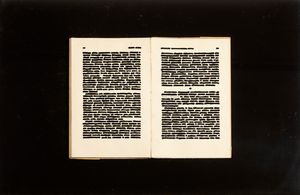 Emilio Isgrò : Aberrazioni  - Asta Arte Moderna e Contemporanea - Associazione Nazionale - Case d'Asta italiane