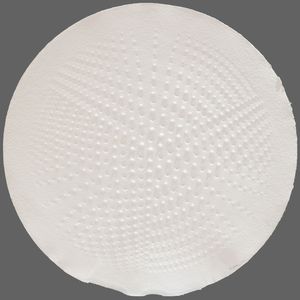 ENRICO CASTELLANI : Quattro stampe in rilievo  - Asta Arte Moderna e Contemporanea - Associazione Nazionale - Case d'Asta italiane