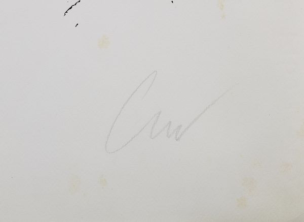 WARHOL ANDY (1928 - 1987) : Ladies and Gentleman.  - Asta Asta 368 | ARTE MODERNA E CONTEMPORANEA Tradizionale - Associazione Nazionale - Case d'Asta italiane