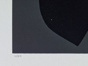 BURRI ALBERTO (1915 - 1995) : Serigrafia 15.  - Asta Asta 368 | ARTE MODERNA E CONTEMPORANEA Tradizionale - Associazione Nazionale - Case d'Asta italiane