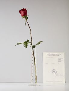 BEUYS JOSEPH (1921 - 1986) - Rose fur direkte Demokratie.