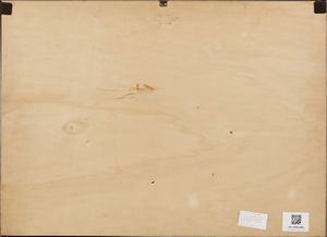 LICHTENSTEIN ROY (1923 - 1997) : Yellow haystack.  - Asta Asta 368 | ARTE MODERNA E CONTEMPORANEA Tradizionale - Associazione Nazionale - Case d'Asta italiane