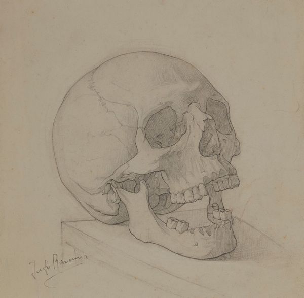 ,JUTI RAVENNA : Soggetti vari  - Asta Arte Moderna e Contemporanea - Associazione Nazionale - Case d'Asta italiane