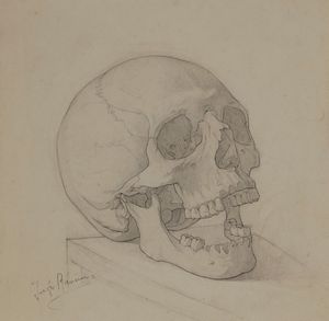 ,JUTI RAVENNA : Soggetti vari  - Asta Arte Moderna e Contemporanea - Associazione Nazionale - Case d'Asta italiane