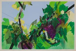 ,ANDREA  PAGNACCO - La vigna