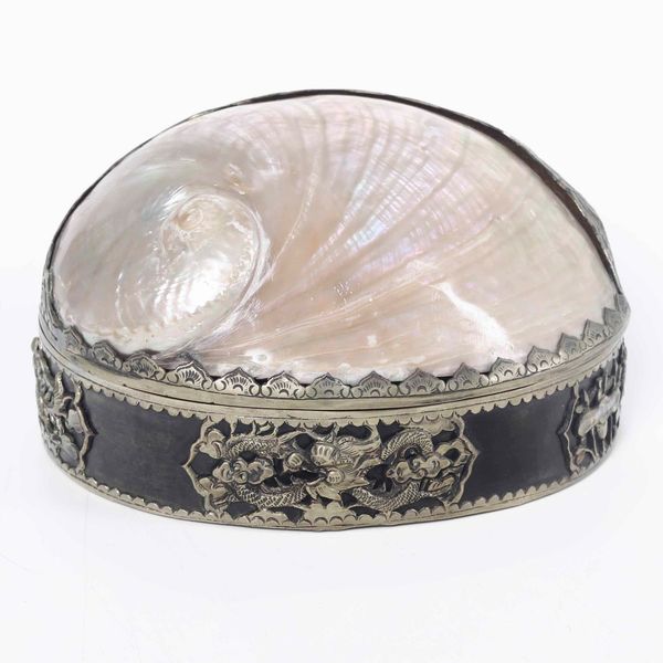Scatola con coperchio ricavato da conchiglia, XX secolo  - Asta Antiquariato Giugno - Associazione Nazionale - Case d'Asta italiane