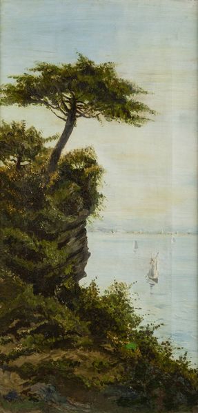 GIACINTO BO Montanaro Canavese (TO) 1832 - 1912 Torino : Pino sulla scogliera  - Asta Antiquariato, Argenti, Dipinti e Sculture - Associazione Nazionale - Case d'Asta italiane