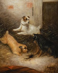 ARMFIELD GEORGE Inghilterra 1808 - 1893 - Interno con due Terrier