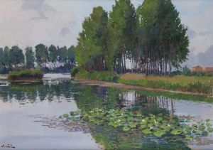 ANGIOLO VOLPE Livorno 1943 - - Le ninfee nel laghetto di Azzano Decimo a Pordenone giugno 1993