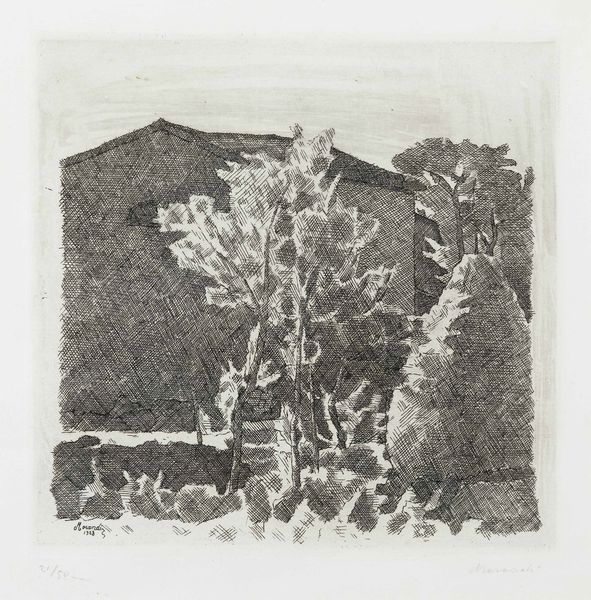 Giorgio Morandi : Poggio al mattino  - Asta Arte Moderna e Contemporanea e Fotografia - Associazione Nazionale - Case d'Asta italiane