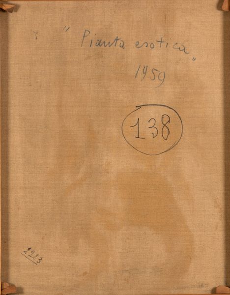Giuseppe Ajmone : Pianta esotica  - Asta Arte Moderna e Contemporanea e Fotografia - Associazione Nazionale - Case d'Asta italiane