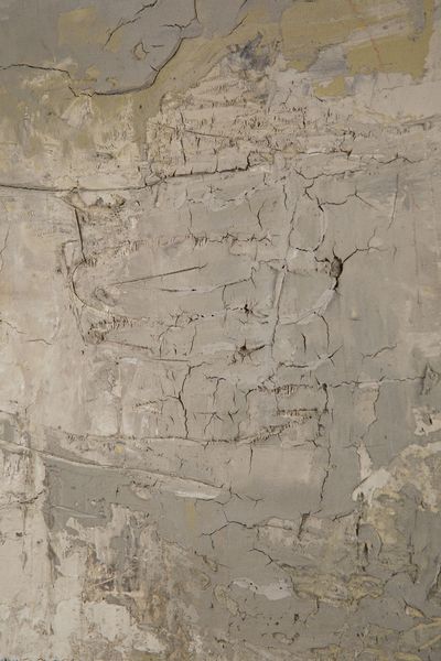 Mario Bionda : Palude n.7  - Asta Arte Moderna e Contemporanea e Fotografia - Associazione Nazionale - Case d'Asta italiane