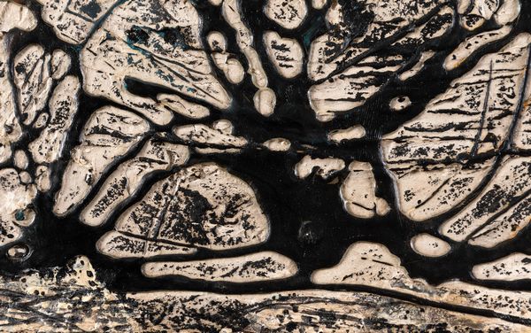 Giuseppe Allosia : Senza titolo  - Asta Arte Moderna e Contemporanea e Fotografia - Associazione Nazionale - Case d'Asta italiane