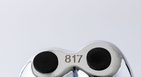 Balloon dog (Silver)  - Asta Arte Moderna e Contemporanea e Fotografia - Associazione Nazionale - Case d'Asta italiane