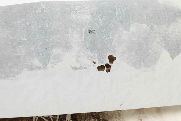 MARIA LAI : Senza titolo (Monotipo)  - Asta Arte Moderna e Contemporanea e Fotografia - Associazione Nazionale - Case d'Asta italiane