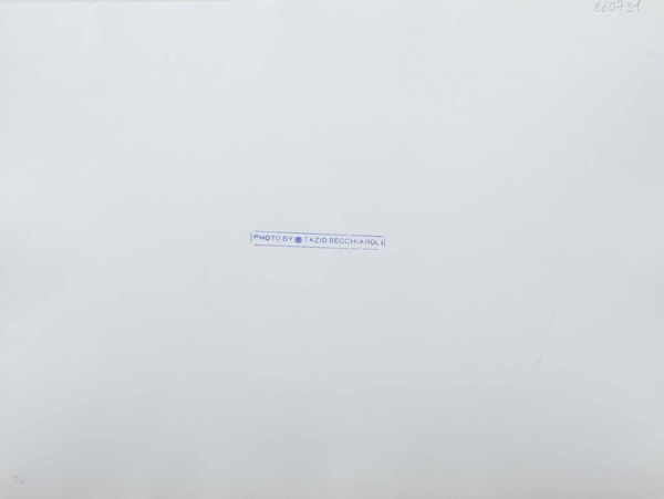 TAZIO SECCHIAROLI : Fellini e Alberto Sordi  - Asta Arte Moderna e Contemporanea e Fotografia - Associazione Nazionale - Case d'Asta italiane