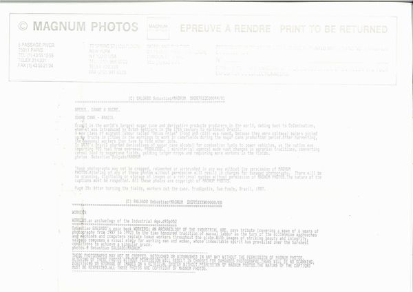 Sebastiao Salgado : Brazil Sugar Cane  - Asta Arte Moderna e Contemporanea e Fotografia - Associazione Nazionale - Case d'Asta italiane