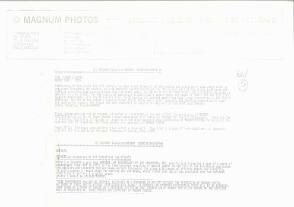 Sebastiao Salgado : Cuba Sugar Cane  - Asta Arte Moderna e Contemporanea e Fotografia - Associazione Nazionale - Case d'Asta italiane