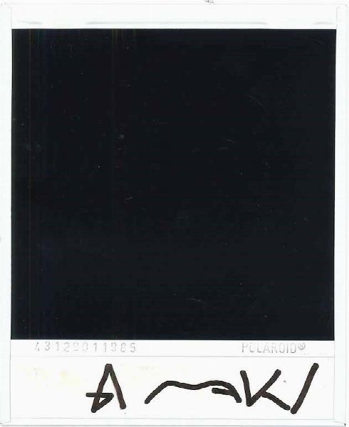 NOBUYOSHI ARAKI : White Orchid  - Asta Arte Moderna e Contemporanea e Fotografia - Associazione Nazionale - Case d'Asta italiane