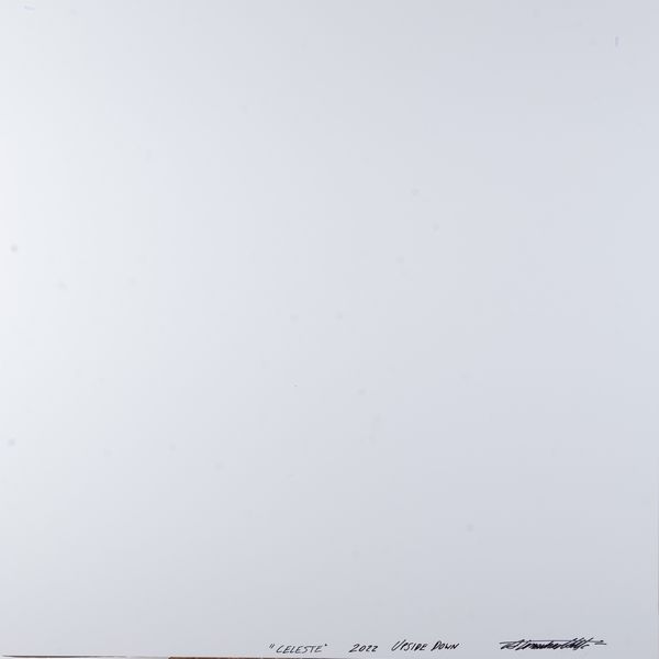 Alessandra Mattè : Upside down Celeste  - Asta Arte Moderna e Contemporanea e Fotografia - Associazione Nazionale - Case d'Asta italiane