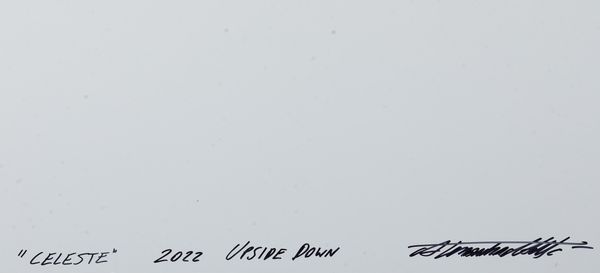 Alessandra Mattè : Upside down Celeste  - Asta Arte Moderna e Contemporanea e Fotografia - Associazione Nazionale - Case d'Asta italiane