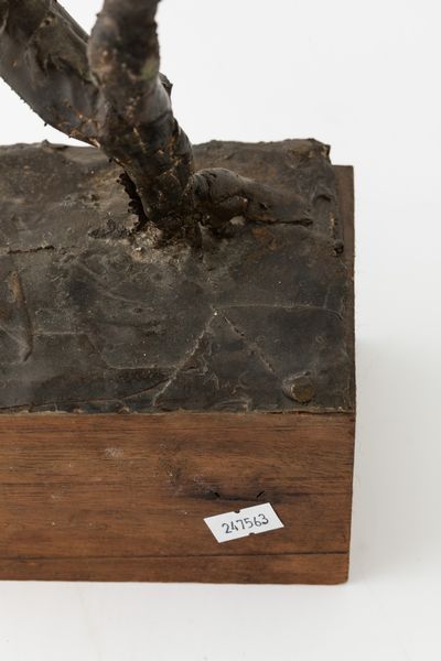 Alik Cavaliere : Giochi proibiti  - Asta Arte Moderna e Contemporanea e Fotografia - Associazione Nazionale - Case d'Asta italiane