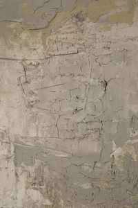 Mario Bionda : Palude n.7  - Asta Arte Moderna e Contemporanea e Fotografia - Associazione Nazionale - Case d'Asta italiane