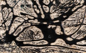 Giuseppe Allosia : Senza titolo  - Asta Arte Moderna e Contemporanea e Fotografia - Associazione Nazionale - Case d'Asta italiane