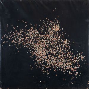 TANO FESTA - Coriandoli