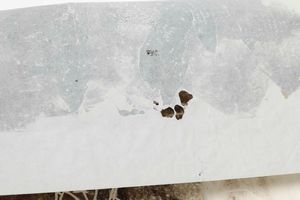 MARIA LAI : Senza titolo (Monotipo)  - Asta Arte Moderna e Contemporanea e Fotografia - Associazione Nazionale - Case d'Asta italiane