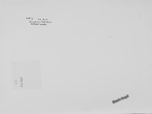 Ricardo Rangel : Alfabetizzazione  - Asta Arte Moderna e Contemporanea e Fotografia - Associazione Nazionale - Case d'Asta italiane