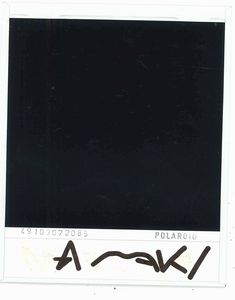 NOBUYOSHI ARAKI : Red Rose  - Asta Arte Moderna e Contemporanea e Fotografia - Associazione Nazionale - Case d'Asta italiane