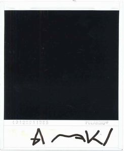 NOBUYOSHI ARAKI : White Orchid  - Asta Arte Moderna e Contemporanea e Fotografia - Associazione Nazionale - Case d'Asta italiane