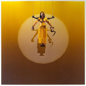 Marina Abramović - The Biography