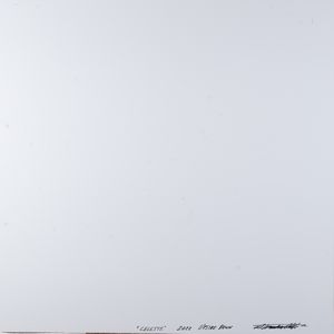 Alessandra Mattè : Upside down Celeste  - Asta Arte Moderna e Contemporanea e Fotografia - Associazione Nazionale - Case d'Asta italiane