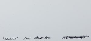 Alessandra Mattè : Upside down Celeste  - Asta Arte Moderna e Contemporanea e Fotografia - Associazione Nazionale - Case d'Asta italiane